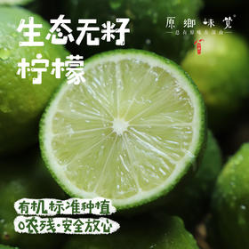 生态无籽柠檬（基地直发-圆通包邮）| 3斤装，来自福建漳州，生产者：戴胜利【合作生产，公平贸易】