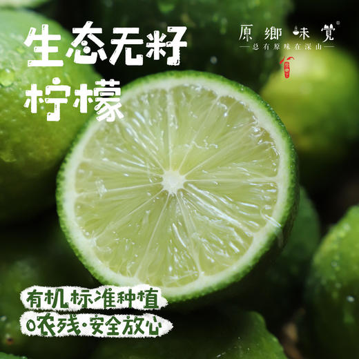 生态无籽柠檬（基地直发-圆通包邮）| 3斤装，来自福建漳州，生产者：戴胜利【合作生产，公平贸易】 商品图0