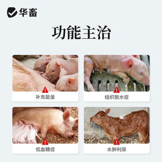 华畜50%葡萄糖注射液 补充能量低血糖症 组织脱水症 商品图1