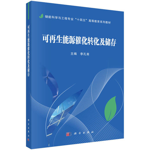 可再生能源催化转化及储存 商品图0