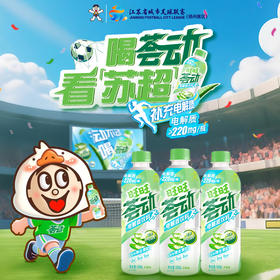 旺旺荟动电解质饮料
