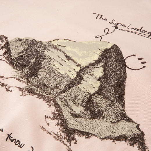 谜底印花T恤短袖女2025夏新款圆领粉色原创绣花宽松上衣256MT6023 商品图3