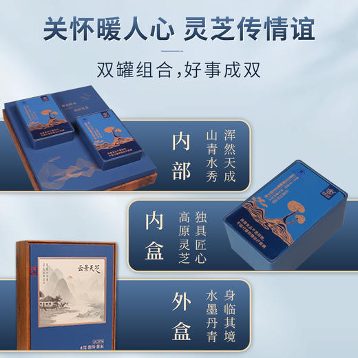 【自研升级菌种】批文备案总三萜18%，含量超高!·云景天芝牌破壁灵芝孢子粉30g/盒装·水培灵 分享芝·0农残·云南高原有机栽培基地(顺丰包邮) 商品图6