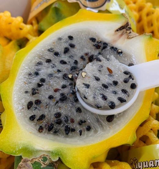 海南燕窝果【ABDY】 商品图2