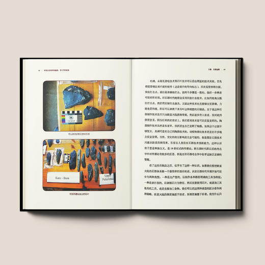《中国文化基因的起源：考古学的视角》 商品图4
