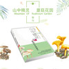 山中精灵 与蘑菇的奇妙遇见 商品缩略图0