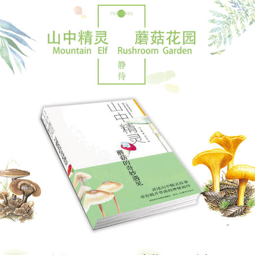 山中精灵 与蘑菇的奇妙遇见 商品图0