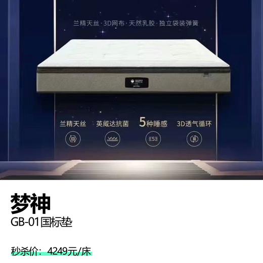 梦神 GB-01国标垫 商品图0