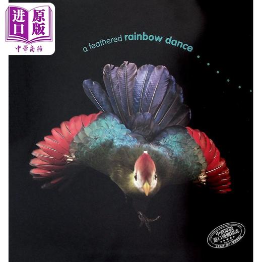 预售 【中商原版】图片方舟 美国国家地理Geographic Kids Photo Ark 英文原版 儿童早教 动物摄影绘本 亲子读物 精装 进口童书 商品图2