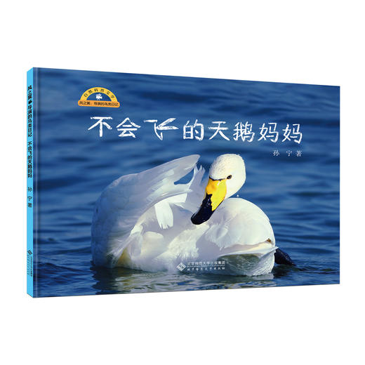 风之翼 导演的鸟类日记 9787303300815 孙宁/著 风之翼 导演的鸟类日记 北京师范大学出版社 商品图4