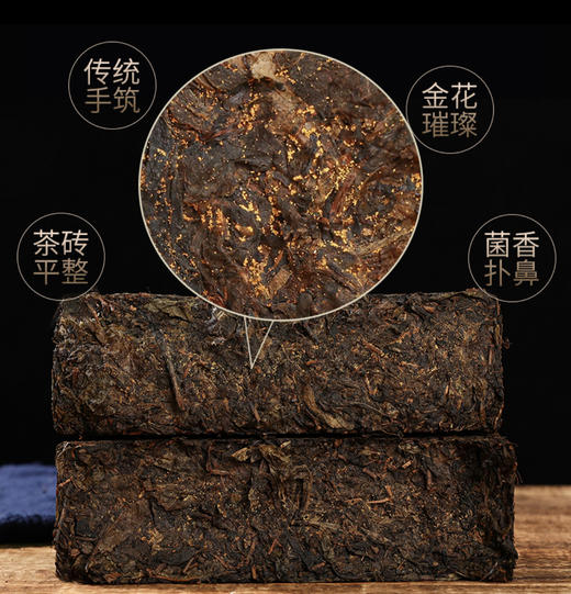 乐道茶业茯砖金花黑茶，安化黑茶原料核心产区，金花茂盛、菌香四溢、滋味醇和，香浓回甘【G】 商品图4