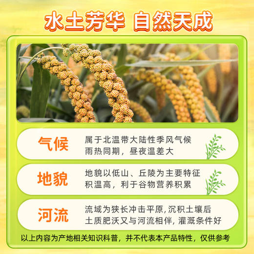 【金皇会59金币专享】十月稻田 黄小米 溯源 2.5kg（小黄米 五谷杂粮 粥米早餐小米粥）5斤 商品图3