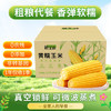新主良黄糯玉米 3.2斤(200g*8根) 东北甜黏玉米棒低脂早餐苞米真空包装 /粮油调味 /杂粮 /谷米类 商品缩略图5