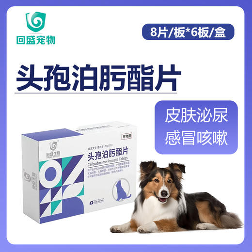 回盛宠物-头孢泊肟酯片 商品图0