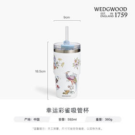 【WEDGWOOD】威基伍德幸运彩雀/漫游美境吸管杯592ml保温保冷杯