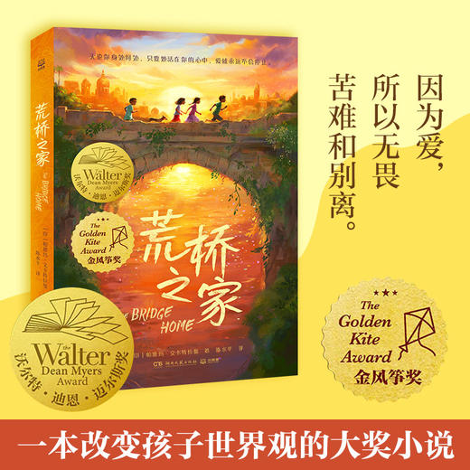 9岁+ 丹妈精选暑期儿童文学6册：小岛的经济学+爷爷的财富寓言+云雀与少年+穿条纹衣服的男孩+特别的女生萨哈拉+荒桥之家 博集 商品图11