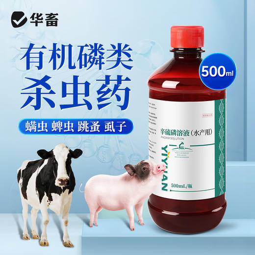 华畜兽用辛硫磷溶液癞螨灵除螨灵螨虫蜱虫跳蚤虱子禽畜体外驱虫药 商品图0