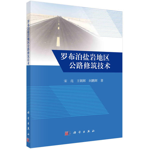 罗布泊盐岩地区公路修筑技术 商品图0