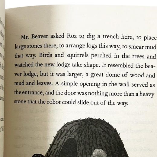 英文原版 The Wild Robot 荒岛机器人三册套装 彼得·布朗 Peter Brown 英文版 进口英语原版书籍 商品图2