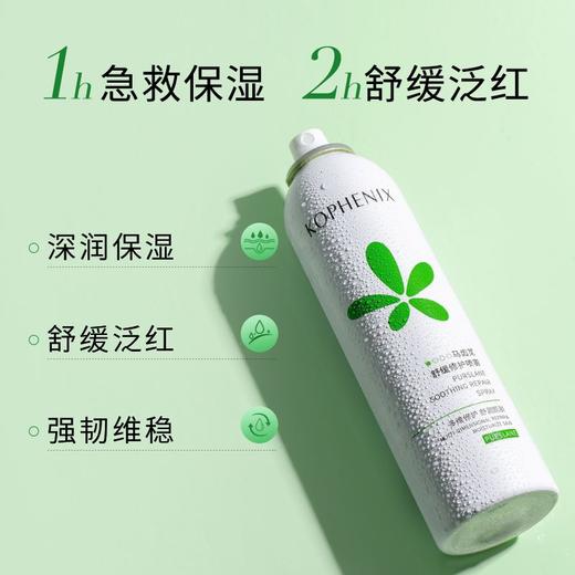 【孔凤春】马齿苋修护补水喷雾210ml 商品图4