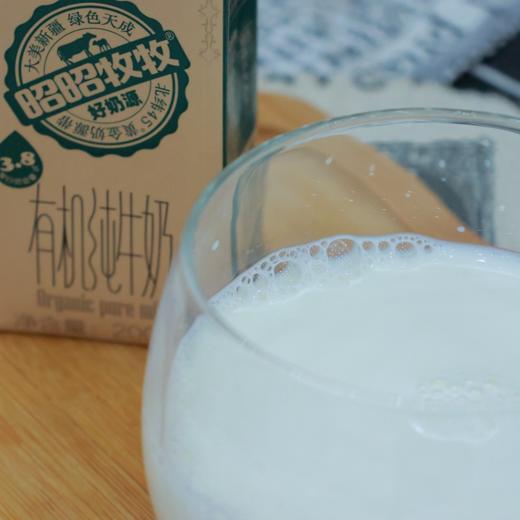 新疆金绿成3.8蛋白高钙有机纯牛奶| 活动到手4箱 商品图1