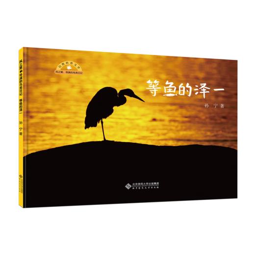 风之翼 导演的鸟类日记 9787303300815 孙宁/著 风之翼 导演的鸟类日记 北京师范大学出版社 商品图7