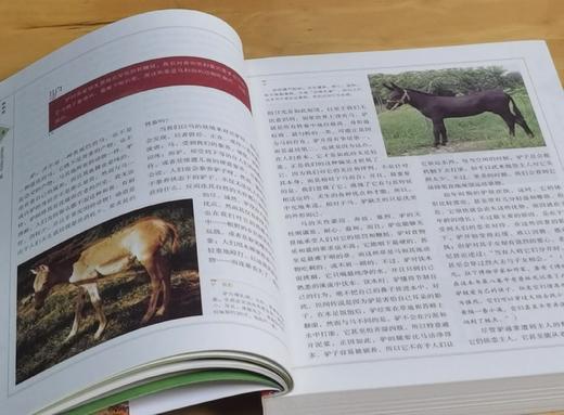 特惠：“改变人类历史进程丛书”（全新修订版）平装16开，全7册，亚当·斯密 等，江苏人民出版社2011年3月出版，印次不详，定价：443，售价：135。 商品图4