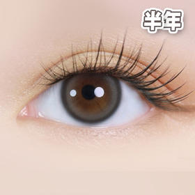 #EYEIS Essential Gray 汽泡灰 灰色 14.0mm 【1片装】舒适推荐 / 半年抛