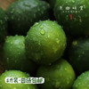 生态无籽柠檬（基地直发-圆通包邮）| 3斤装，来自福建漳州，生产者：戴胜利【合作生产，公平贸易】 商品缩略图3
