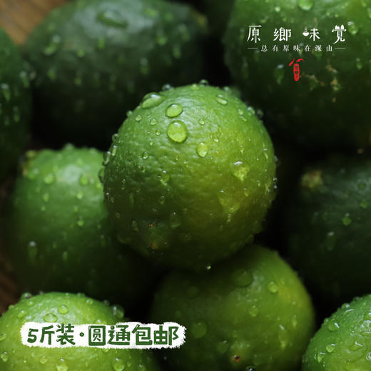 生态无籽柠檬（基地直发-圆通包邮）| 3斤装，来自福建漳州，生产者：戴胜利【合作生产，公平贸易】 商品图3