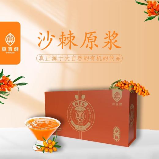 真宜健·沙棘原浆 50g*30  不提籽 不提油 纯原浆不加一滴水 商品图1