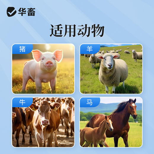 华畜兽药氯化钠注射液兽用盐水猪牛羊补充体液灭菌注射用水 商品图2