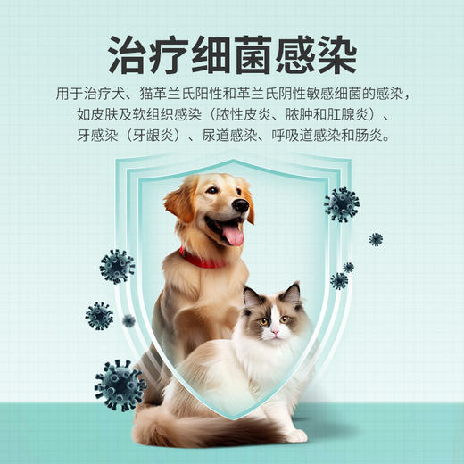 狗狗猫咪感冒药猫支鼻咳嗽打喷嚏流鼻涕宠物阿莫西林克拉维酸甲片 商品图3