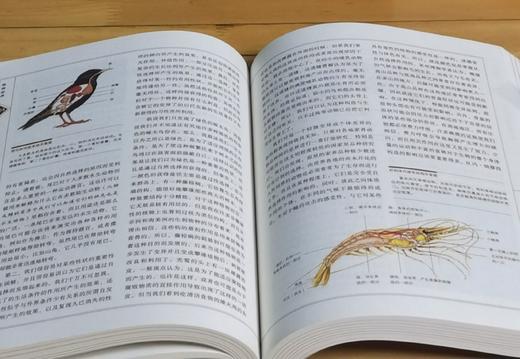 特惠：“改变人类历史进程丛书”（全新修订版）平装16开，全7册，亚当·斯密 等，江苏人民出版社2011年3月出版，印次不详，定价：443，售价：135。 商品图10