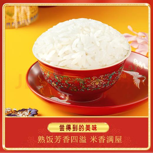 【金皇会59金币专享】十月稻田 当季新米 稻香米 10斤（东北大米 香米 5公斤/十斤） 商品图7