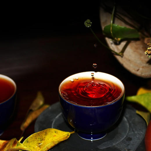 乐道茶业茯砖金花黑茶，安化黑茶原料核心产区，金花茂盛、菌香四溢、滋味醇和，香浓回甘【G】 商品图5