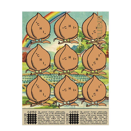 BranD NO.79 [可持续地方设计] 简体中文原版期刊艺术字体平面设计杂志 商品图3