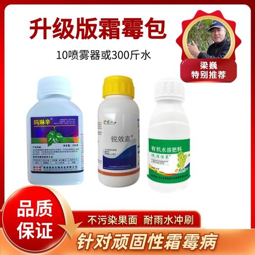 升级版霜霉包 商品图0