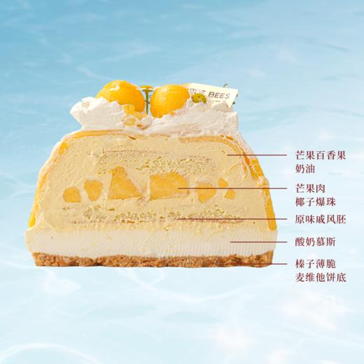 香芒艳遇 | 百香果芒果酸奶挞蛋糕 商品图1