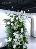 高仿真植物造景定制设计/商场家居多场景生态景观搭建+一站式安装（具体价格可咨询商家） 商品缩略图3