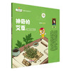 神奇的艾草（附赠艾草涂色卡）方鸿琴 主编 一起走向未来中医药文化系列丛书 中国中医药出版社 商品缩略图4
