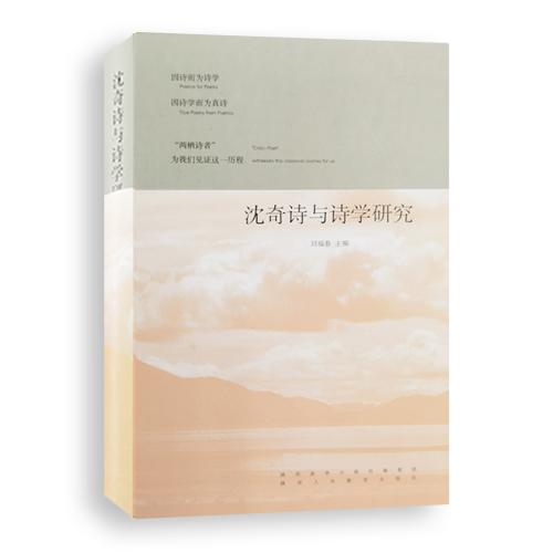 沈奇诗与诗学研究 商品图0