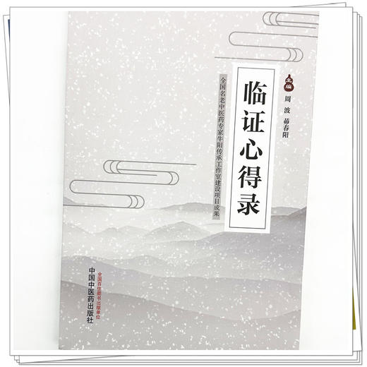 临证心得录 周波 茆春阳 主编 中国中医药出版社 临证经验 精选医案 中医临床 书籍 商品图3