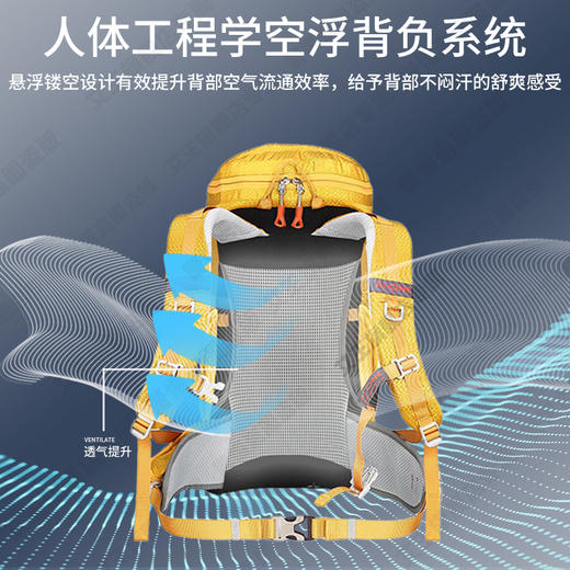 【超级秒杀！】艾王户外徒步登山包大容量36升超轻双肩包耐磨防泼水男女旅行背包 商品图4