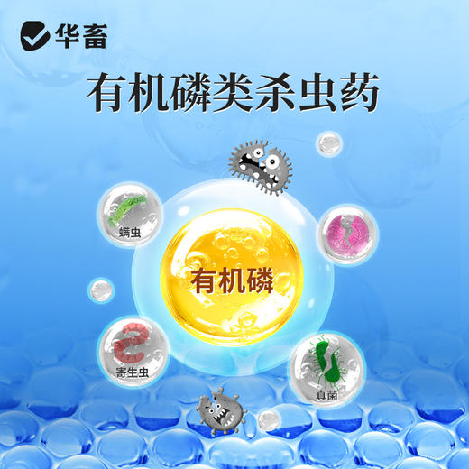 华畜兽用辛硫磷溶液癞螨灵除螨灵螨虫蜱虫跳蚤虱子禽畜体外驱虫药 商品图2