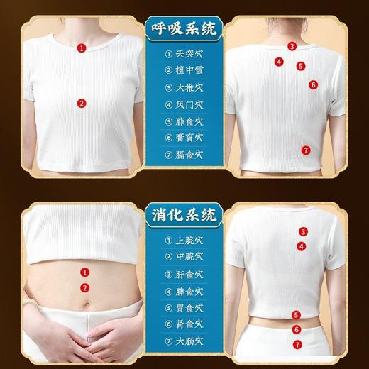 组合装【北京同仁堂】艾草贴 三伏天用 31贴/盒 伏湿膏180g 商品图2