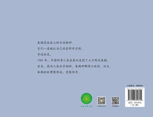 风之翼 导演的鸟类日记 9787303300815 孙宁/著 风之翼 导演的鸟类日记 北京师范大学出版社 商品图3