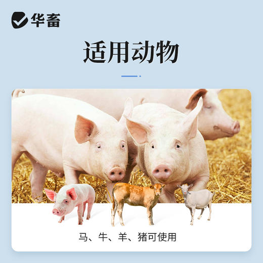 华畜兽药酚磺乙胺注射液止血敏马牛羊猪外科手术后出血止血内出血 商品图2