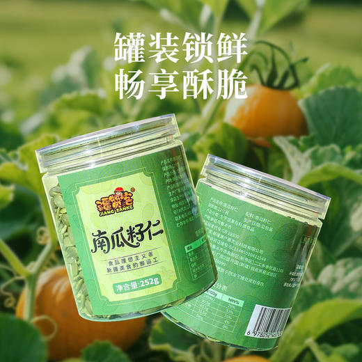 新疆直发 南瓜籽仁 坚果果干252克 商品图3