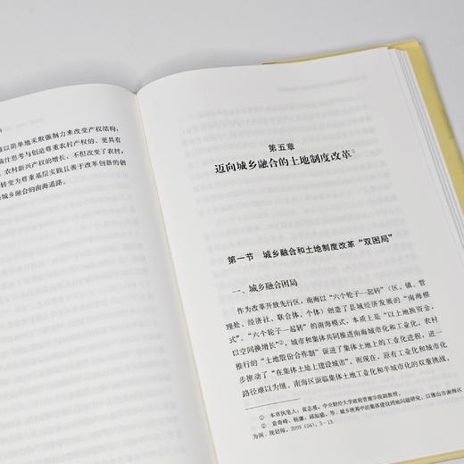 《迈向城乡融合文明新形态：南海案例 》 商品图8